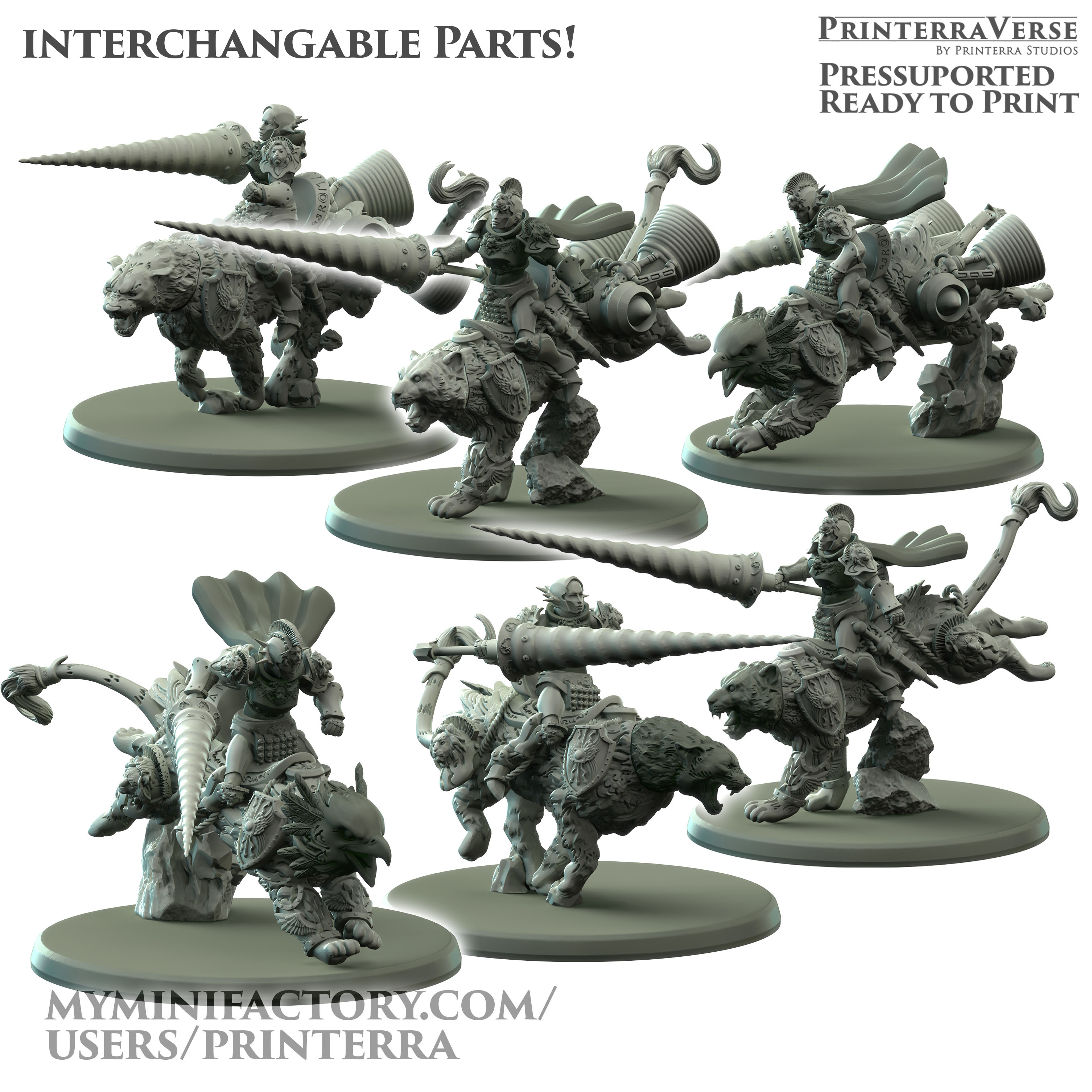 041ROMANUS Modular Stormiatrus Rider